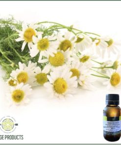 Chamomile German Blue Oil (Matricaria chamomilla) 3% Dilution in Jojoba Oil