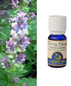 Clary Sage Organic