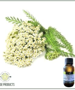 Yarrow Essential Oil (Achillea millefolium)