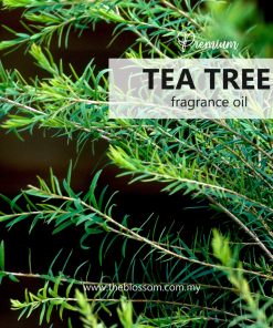 Tea Tree Fragrance Oil
