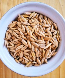 Whole Oat Grain/Kernels/Berries